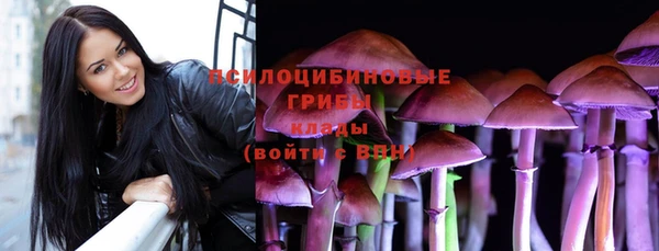 тгк Магадан