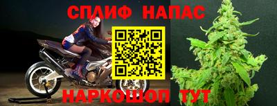 гидра Абакан