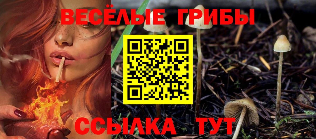 Галлюциногенные грибы мухоморы Алушта