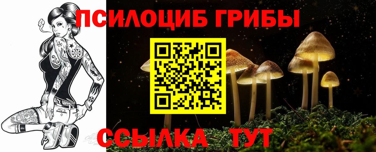 Галлюциногенные грибы Cubensis Алушта