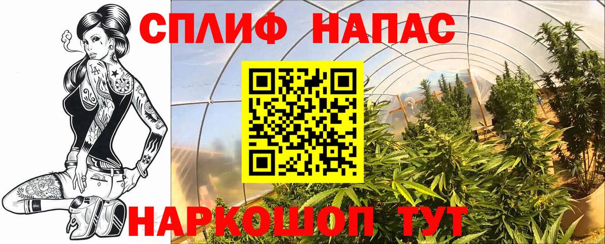 Бошки Шишки ГИДРОПОН  Шишки марихуана LSD WEED  Алушта  Бошки Шишки White Widow  Вход с VPN 